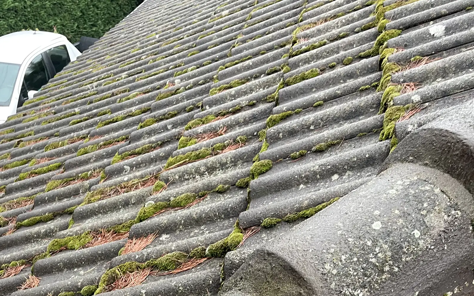 Toiture envahie par la mousse avant le démoussage