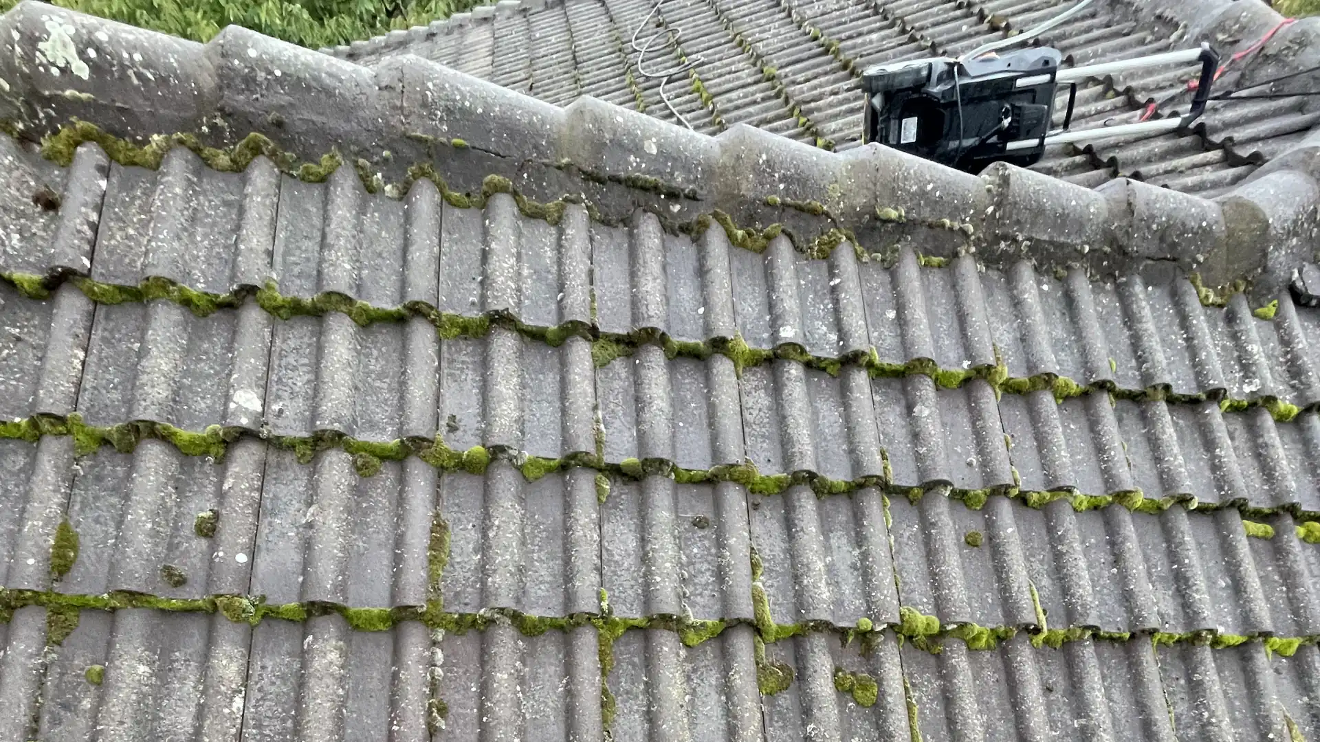 Nettoyage et démoussage de toiture à Lyon Est par Mery'clean