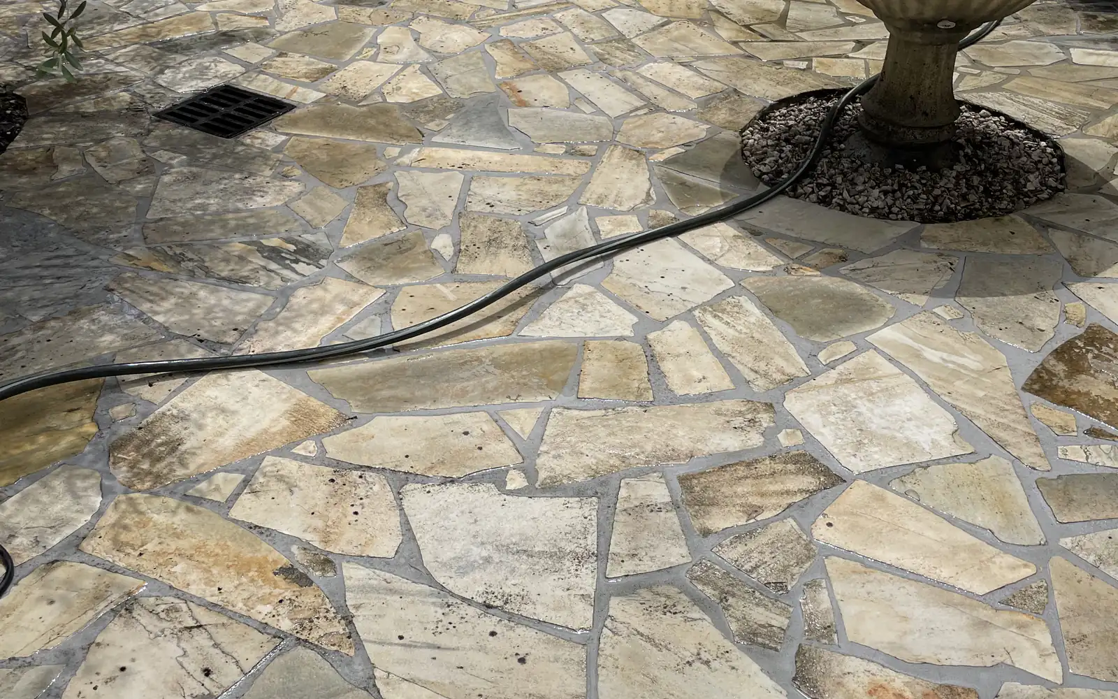 Terrasse rendue à sa teinte d'origine après le nettoyage