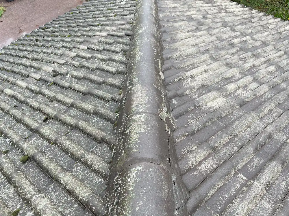 Toiture démoussée et rincée par Mery'clean